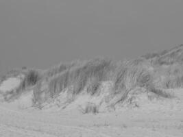 juist in the north sea photo