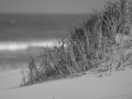 juist in the north sea photo