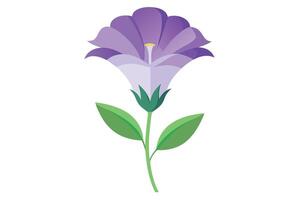 lisianthus Flower Vector Illustration Isolated on a Clean Background