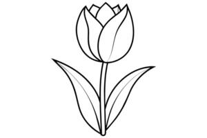 Tulip Vector Art Illustration