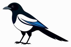 Cute Magpie Isolated On a Clean Background vector