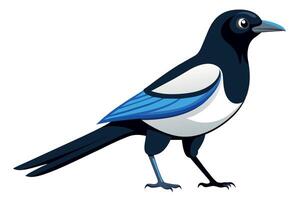 Cute Magpie Isolated On a Clean Background vector