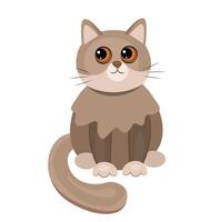 Cat with big eyes on white background vector