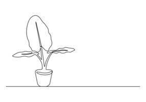 Continuous one line drawing of house plant. Isolated on white background vector illustration