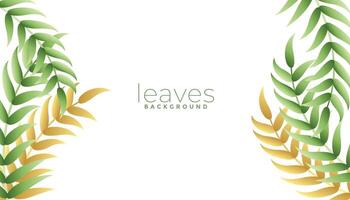 green leaves background with white space area vector
