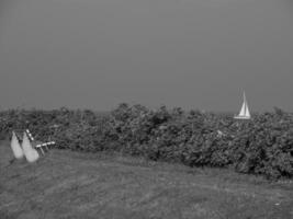 the island of helgoland photo