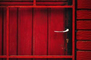 Old red metallic door with worn handle photo