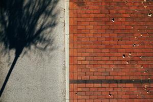 Shadow of a tree on bicycle lane next to the pavement in autumn, top view photo