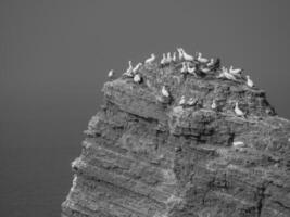 the island of Helgoland photo