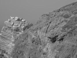 the island of Helgoland photo