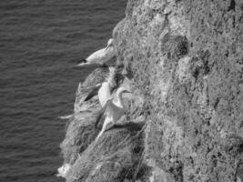 the island of Helgoland photo