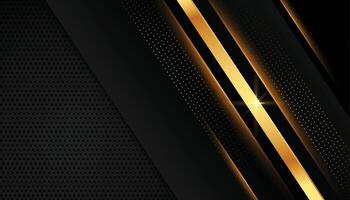 elegant golden lines on dark black background vector