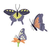 Set of hand drawn colorful butterflies and flower. Spring concept. Sketchy hand drawn elements on white background. Ideal for decoration, stickers, greetings, banner and background vector