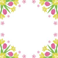 Spring floral square banner for social media on white background. Frame template or design print with tulips and daffodils. Good for banner, background, social media graphics vector