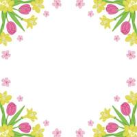 Spring floral square banner for social media on white background. Frame template or design print with tulips and daffodils. Good for banner, background, social media graphics vector