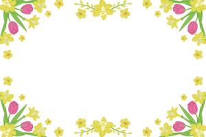 Spring horizontal banner for social media on white background. Frame template or design print with tulips and daffodils. Good for banner, background, social media graphics vector