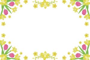 Spring horizontal banner for social media on white background. Frame template or design print with tulips and daffodils. Good for banner, background, social media graphics vector