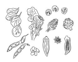 Sketchy drawings of green vegetables for healthy eating. Doodle contour vegetables on white background. Ideal for coloring pages, tattoo, pattern vector