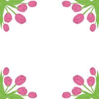 Square banner for social media with tulips on white background. Good for banner, background, social media graphics. Frame template or design print with tulips and daffodils vector