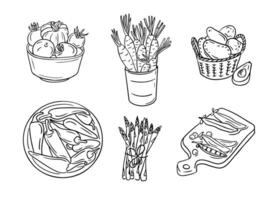 Sketchy outline drawings of vegetables in groups. Doodle outline vegetables for healthy eating on white background. Ideal for coloring pages, tattoo, pattern vector