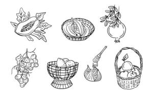 Sketchy hand drawn contour drawings of fruits. Vector black outline sketchy drawings of groups of fruits on white background. Ideal for coloring pages, tattoo, pattern