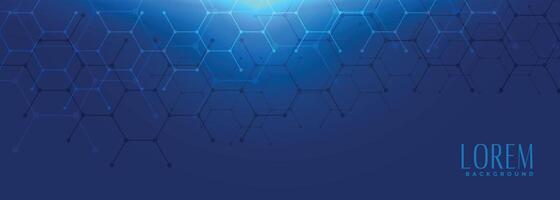 hexagonal shape blue wide banner design vector