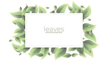 green leaves rectangular frame background design vector