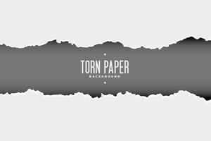 ripped torn paper sheet background vector