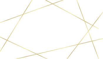 white background with golden luxury lines shapes vector