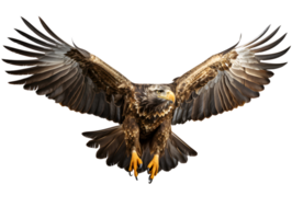 ai généré Aigle en volant avec propager ailes isolé sur transparent Contexte. proche en haut de une faucon. génératif ai png