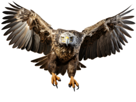 ai généré Aigle en volant avec propager ailes isolé sur transparent Contexte. proche en haut de une faucon. génératif ai png