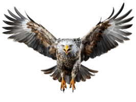 AI generated Eagle Flying with Spread Wings Isolated on Transparent Background. Close Up of a Hawk. Generative Ai png