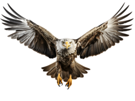 AI generated Eagle Flying with Spread Wings Isolated on Transparent Background. Close Up of a Hawk. Generative Ai png