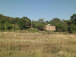 A house in forest photo