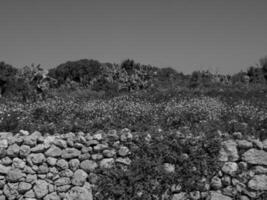 the island gozo photo