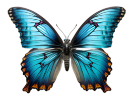 ai généré proche en haut de une magnifique et multicolore papillon avec propager ailes isolé sur transparent Contexte. génératif ai png