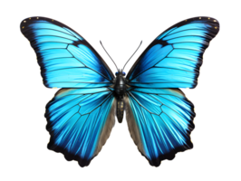 ai généré proche en haut de une magnifique et multicolore papillon avec propager ailes isolé sur transparent Contexte. génératif ai png