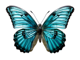 AI generated Close Up of a Beautiful and Multicolored Butterfly with Spread Wings Isolated on Transparent Background. Generative Ai png