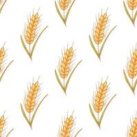 Seamless pattern with wheat doodle for decorative print, wrapping paper, greeting cards, wallpaper and fabric vector
