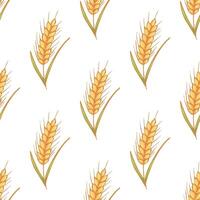 Seamless pattern with wheat doodle for decorative print, wrapping paper, greeting cards, wallpaper and fabric vector