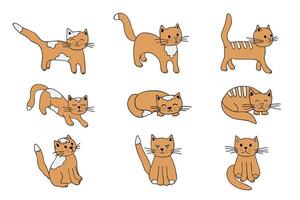 Hand drawn cat clipart. Cute pet doodle set vector