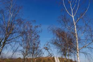 spring time in the german ruhr aerea photo