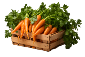 AI generated Pile of Fresh Carrots in a Basket Isolated on Transparent Background. Generative Ai png