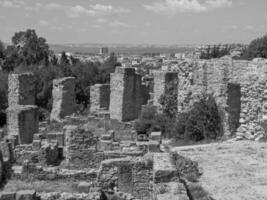 tunis in tunisia photo