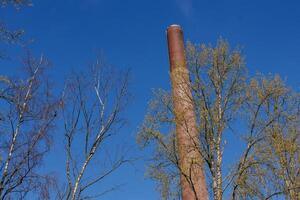 spring time in the german ruhr aerea photo