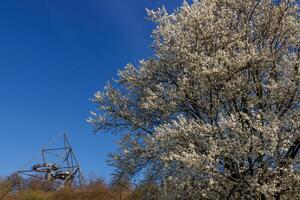 primavera hora en el alemán ruhr aerea foto