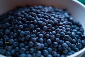 A full bowl of fresh wild blueberries photo