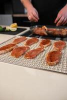 Meat laid out on a grid from a dehydrator photo