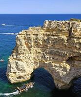 Oceano especies de Portugal foto