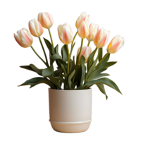 AI generated Tulip Flowers in White Pot Isolated on Transparent Background. Generative Ai png